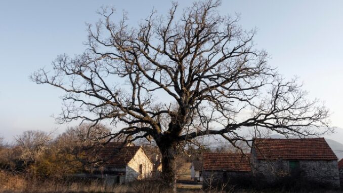 Krajina roztavených zvonů od Jana Štiftera